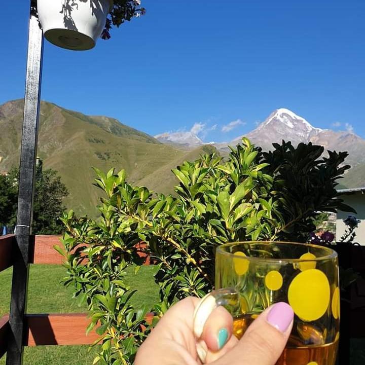 Guest House Elguja Qushashvili Kazbegi Eksteriør billede