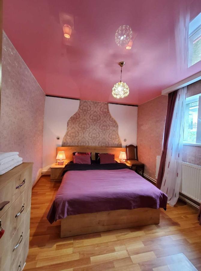 Guest House Elguja Qushashvili Kazbegi Eksteriør billede