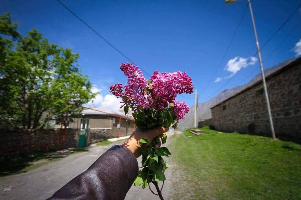 Guest House Elguja Qushashvili Kazbegi Eksteriør billede