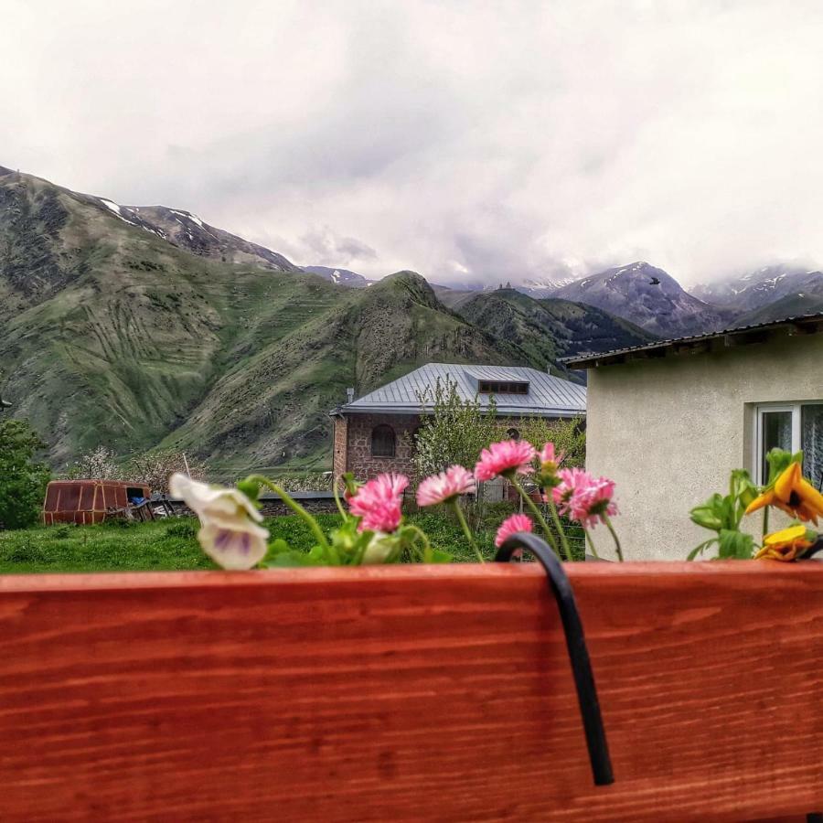 Guest House Elguja Qushashvili Kazbegi Eksteriør billede